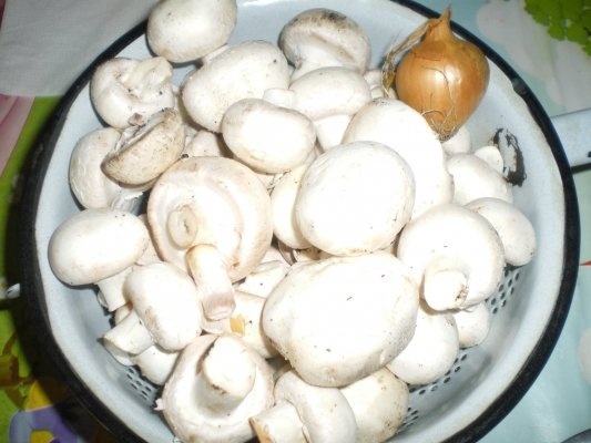 Tocanita de ciuperci