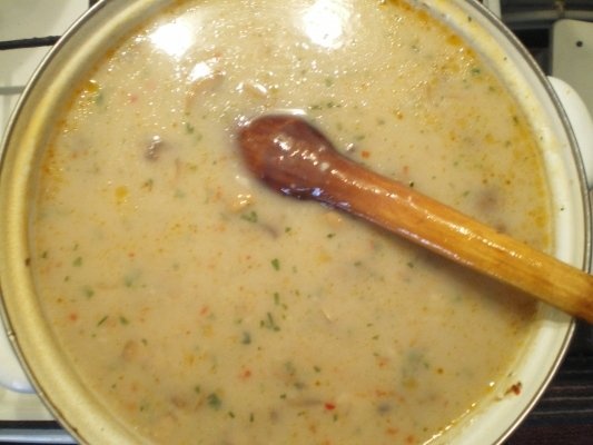 Tocanita de ciuperci