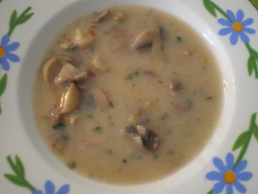 Tocanita de ciuperci