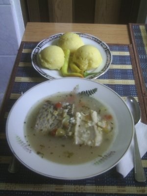 CIORBA DE PESTE TARANEASCA