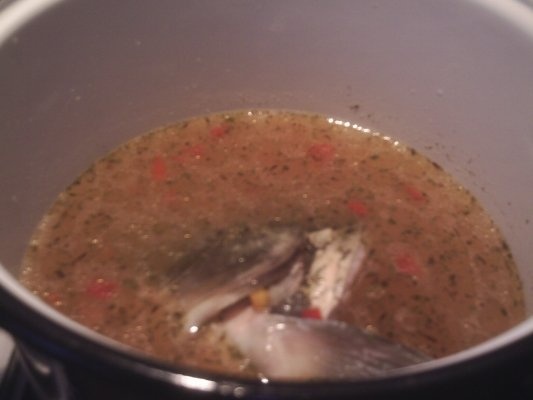 CIORBA DE PESTE TARANEASCA