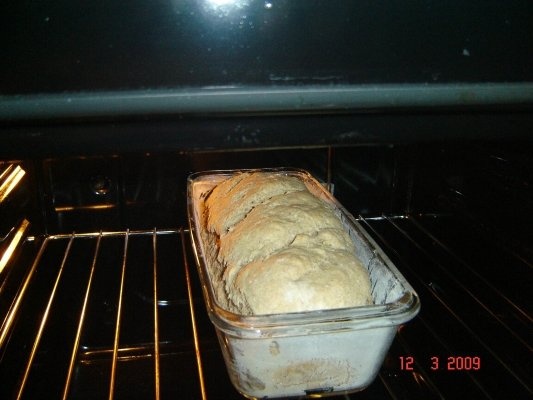 Paine cu faina integrala de grau