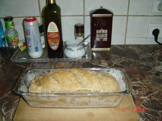 Paine cu faina integrala de grau