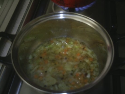 MANCARE DE ARDEI CAPIA COPTI