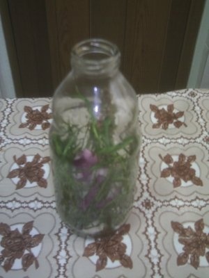 Otet aromat pentru salate