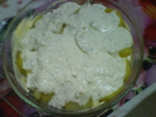 CARTOFI CU CAS LA CUPTOR