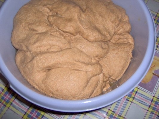 Piinicele din faina integrala