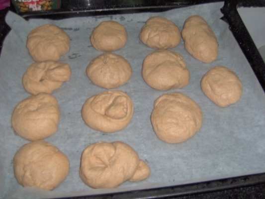 Piinicele din faina integrala