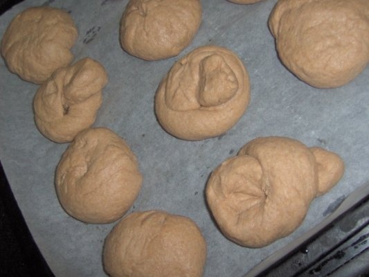 Piinicele din faina integrala