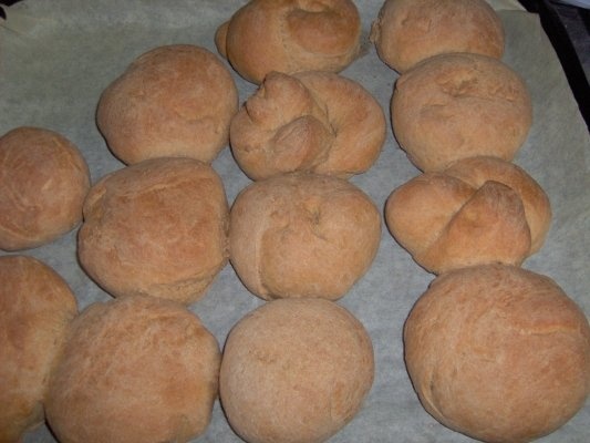 Piinicele din faina integrala