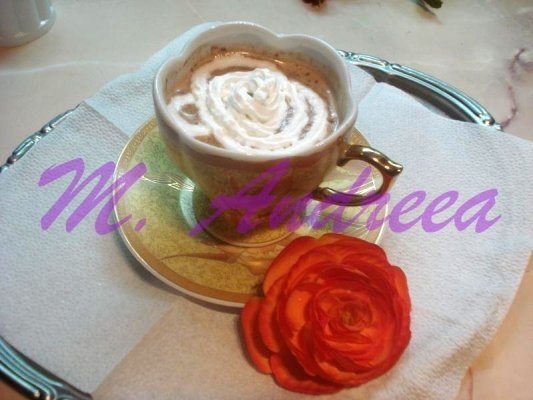 CAPPUCCINO CU FRISCA