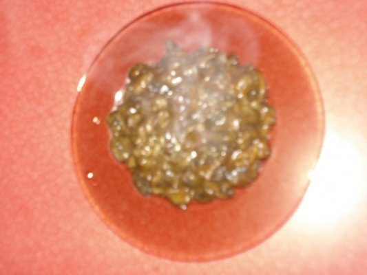 Ciuperci in sos iute cu usturoi