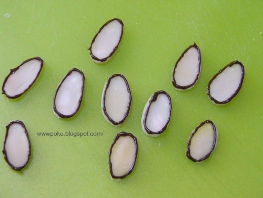 Rulada cu frisca si kiwi