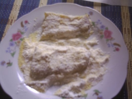 FILE DE PESTE MARINAT SI PRAJIT