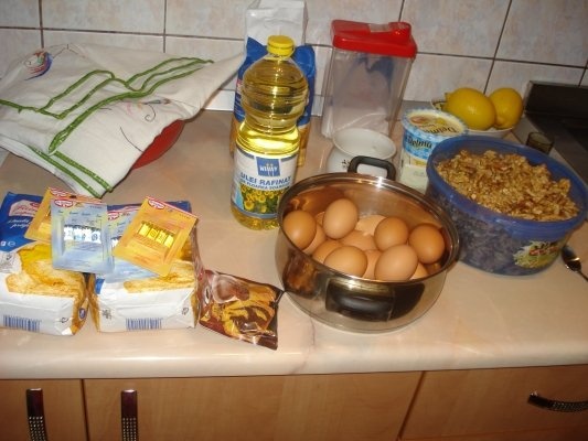 COZONAC CU CREMA DE CACAO, NUCI, STAFIDE SI MAC