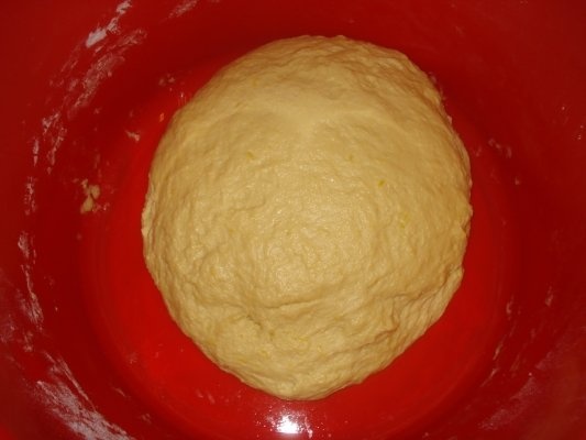 COZONAC CU CREMA DE CACAO, NUCI, STAFIDE SI MAC