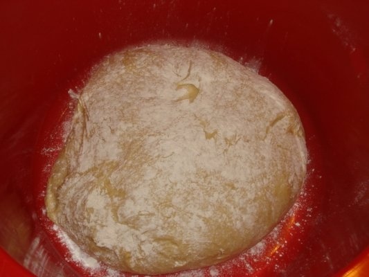 COZONAC CU CREMA DE CACAO, NUCI, STAFIDE SI MAC