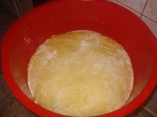 COZONAC CU CREMA DE CACAO, NUCI, STAFIDE SI MAC