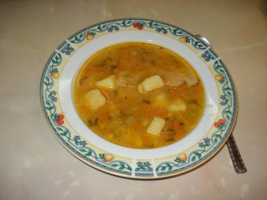 CIORBA DE LEGUME