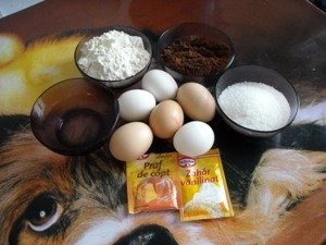 Prajitura Rigo-Jancsi Alis