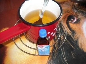 Prajitura Rigo-Jancsi Alis