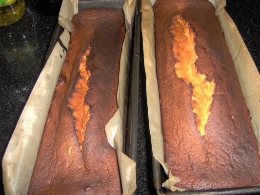 Chec cu miere (onicleicheh)