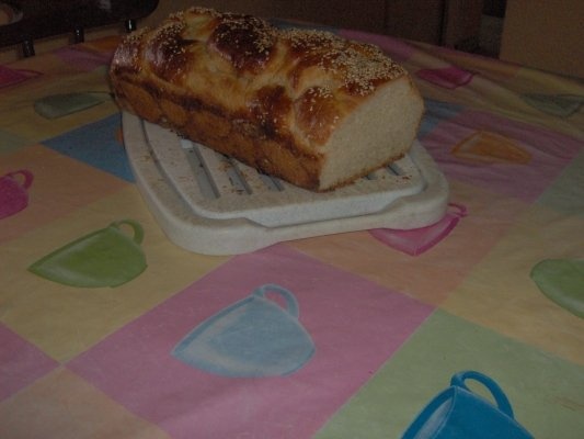 Paine alba  de casa(hala)