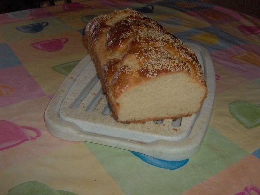 Paine alba  de casa(hala)