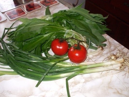 Salata de leurda cu knorr ardei si verdeturi