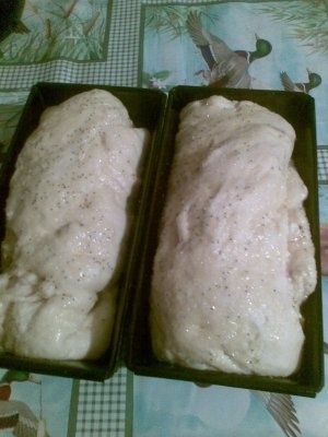 Aluat fraged,moldovenesc pt cozonac si pasca