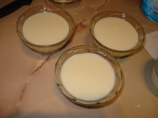 PANNA COTTA - RETETA TESTATA