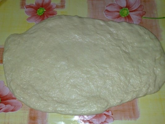 COZONAC CU NUCA SI CIOCOLATA