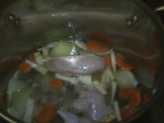 RASOL DIN CARNE DE PASARE