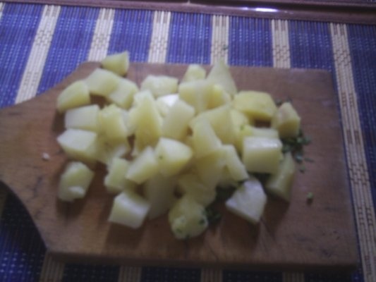 RASOL DIN CARNE DE PASARE