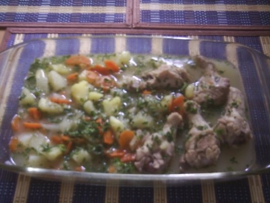 RASOL DIN CARNE DE PASARE