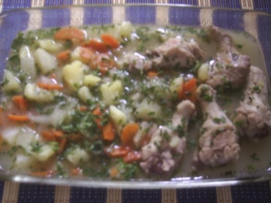 RASOL DIN CARNE DE PASARE