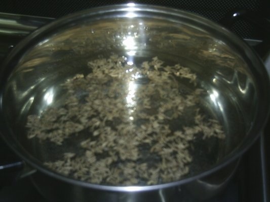 VARZA DE BRUXELLES LA CUPTOR