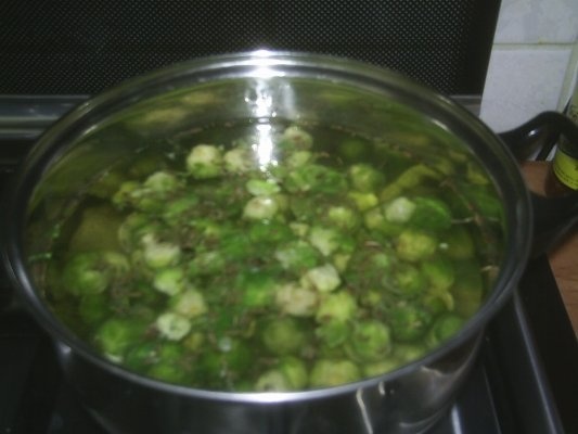 VARZA DE BRUXELLES LA CUPTOR