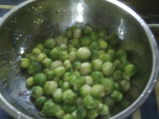 VARZA DE BRUXELLES LA CUPTOR