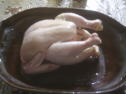 PUI  LA CUPTOR PREPARAT IN BERE