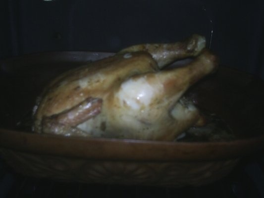 PUI  LA CUPTOR PREPARAT IN BERE