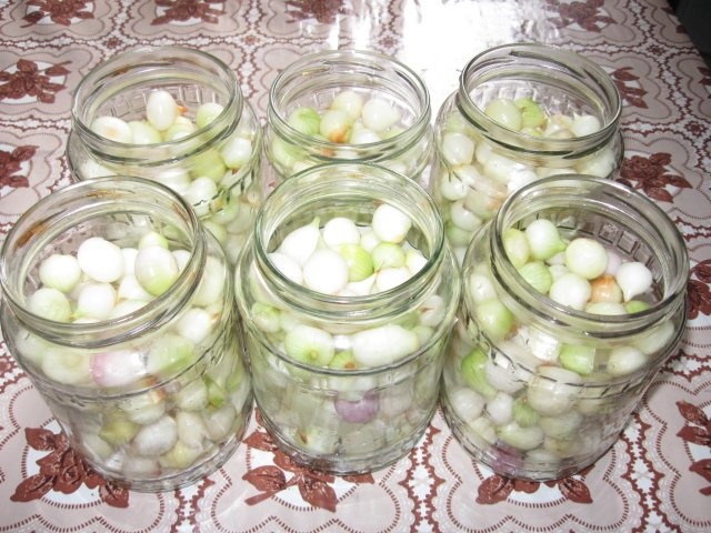 Arpagic si usturoi murat