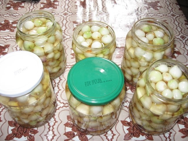 Arpagic si usturoi murat