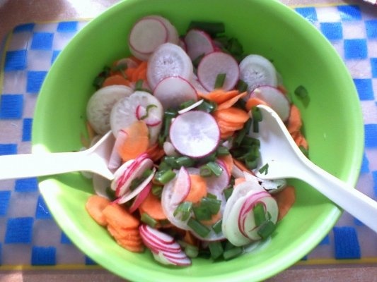 Salata de ridichi si castraveti