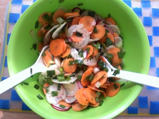 Salata de ridichi si castraveti