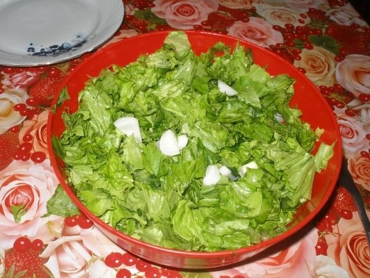 Salata verde cu ridichi