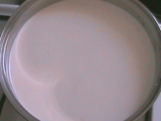 Crema de vanilie