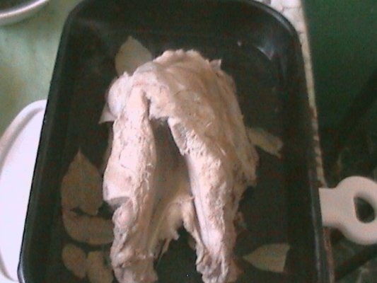 Piept de curcan la cuptor