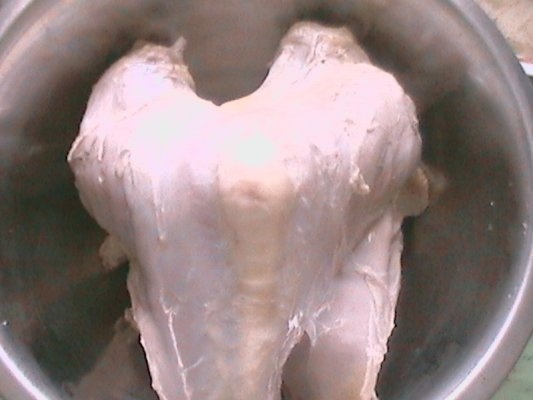 Piept de curcan la cuptor