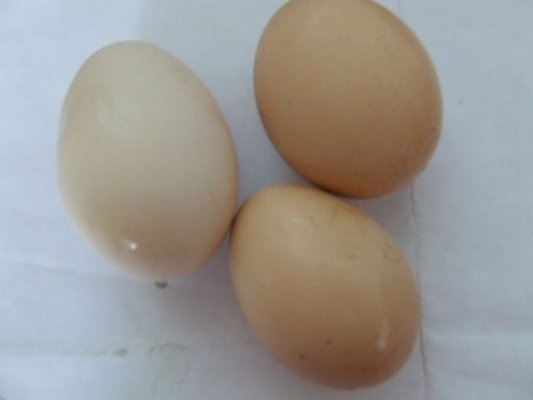 Salata de vinete cu oua si masline